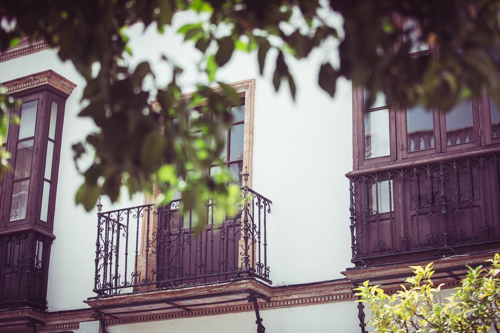 Casa Rural Puerta Del Sol 阿尔科斯-德拉弗龙特拉 外观 照片